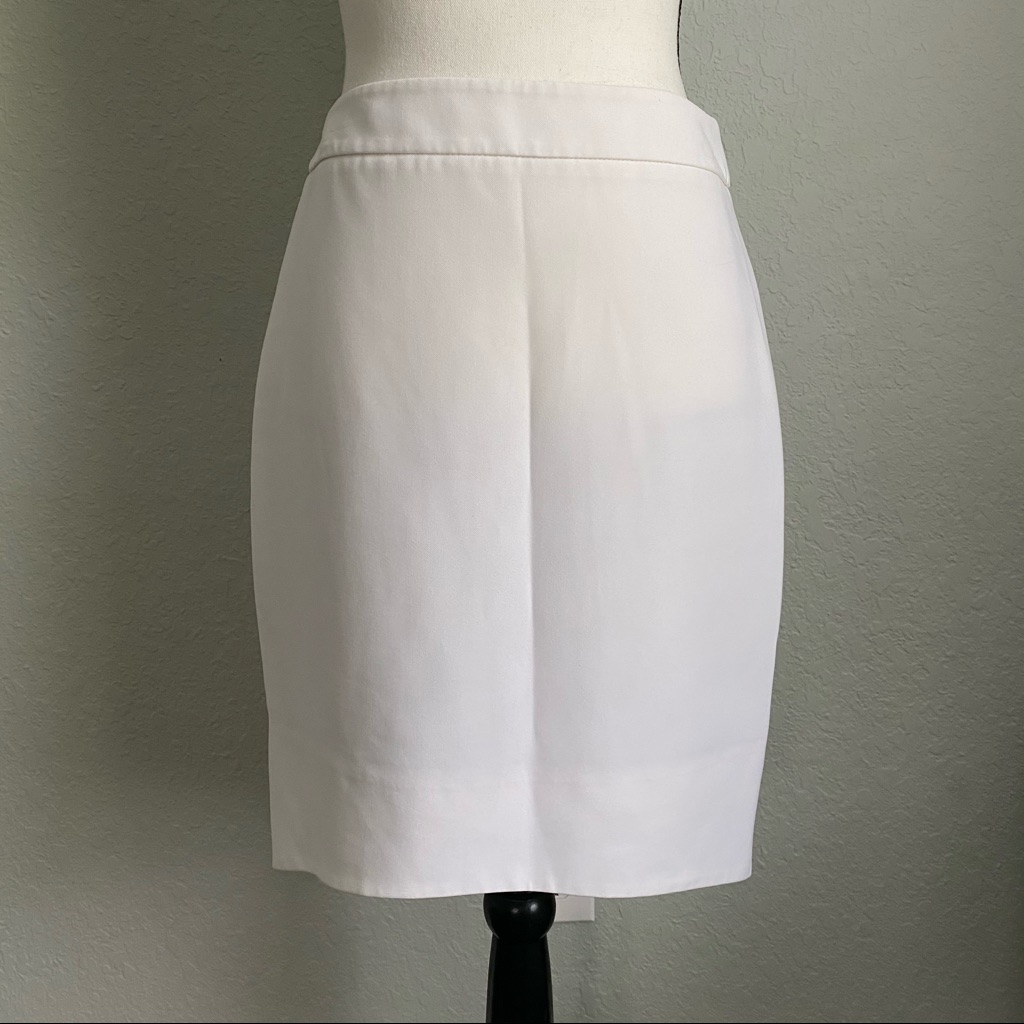 Nwot Vintage Express Skirt